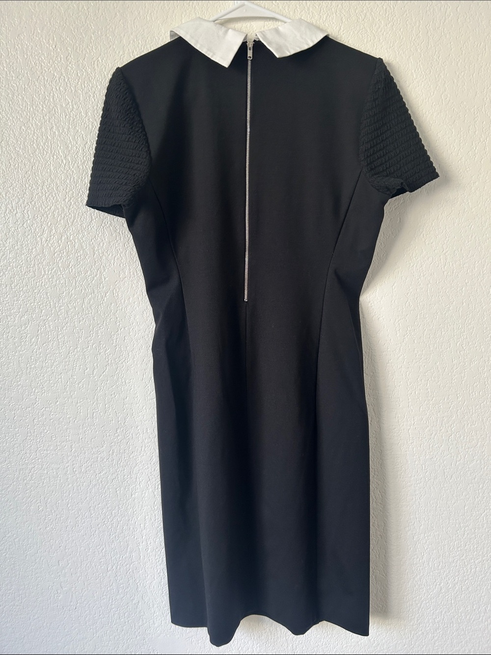 Alex Marie Black Midi Dress with White Peter Pan Collar - Picture 7 of 9